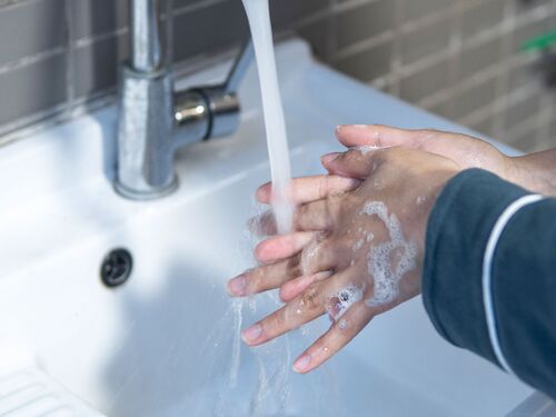 Based on Science Banner