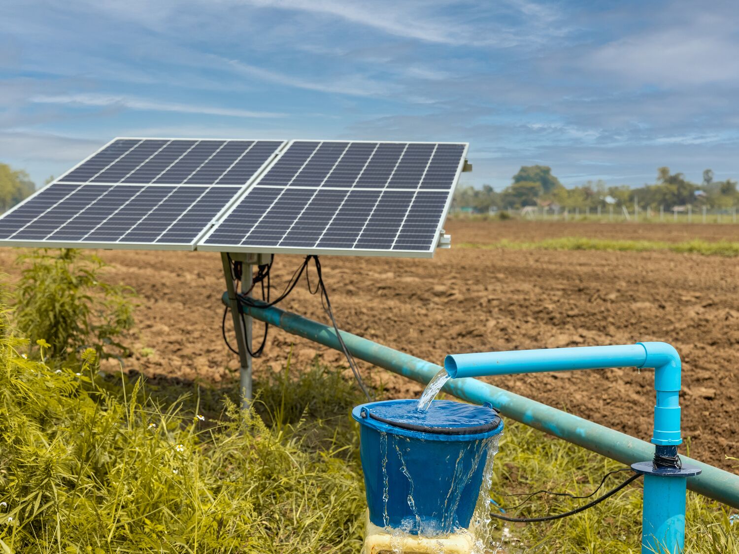 Water pumps and solar panels in farm.