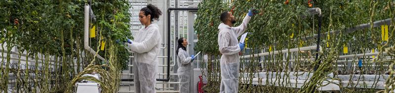 iStock-1304949115_cropped.jpg | https://nasemoceprodcomm-nationalacademies.cec.ocp.oraclecloud.com/content/published/api/v1.1/assets/CONTE0E7BE6542E34933A3F05F5132FD10CD/native?cb=_cache_daba&format=webp&channelToken=d2dc71410b56f1d61406108f1738d0f4