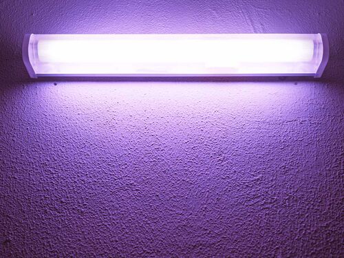 Based on Science Banner