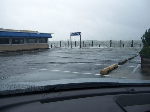 Based on Science Banner