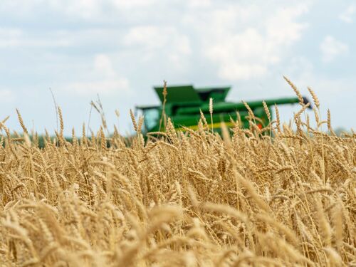 A wheat harvest in Brownsburg, Indiana (NRCS photo by Brandon O’Connor)