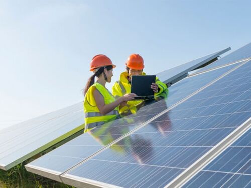 Strengthening-Sustainability-Programs-and-Curricula-at-the-Under card.jpg