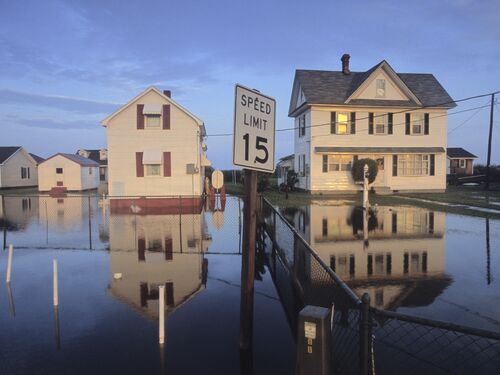 Flooding on Tangier Island, VA the morning after a thunderstorm. The low elevation island is vulnerable to flooding.