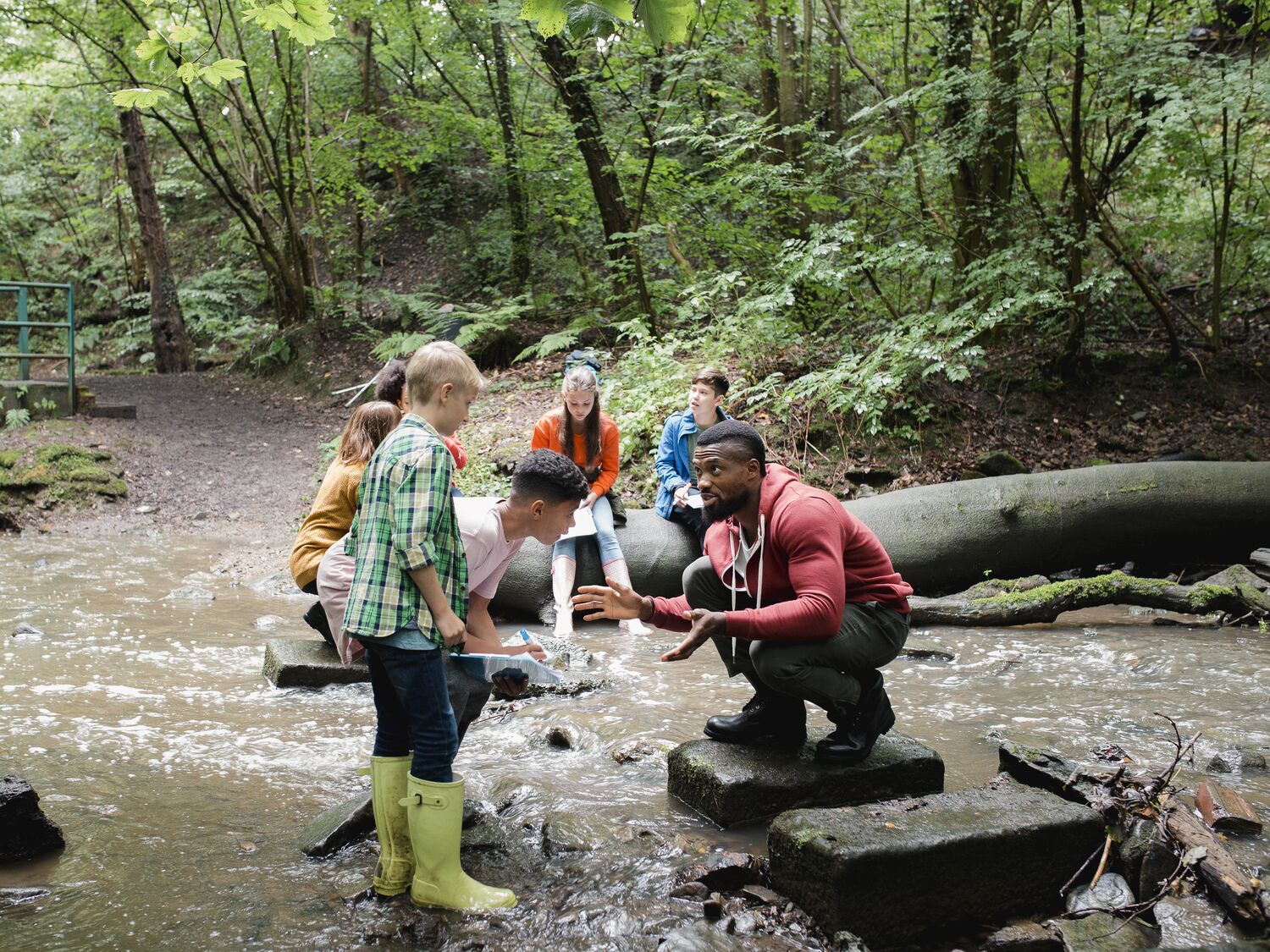 Children and an adult in a wooded area in a stream.