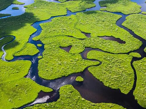 everglades ninth report - UW slider.jpg