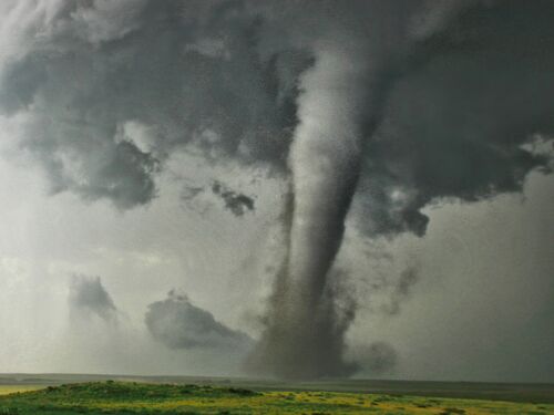 Campo, CO, tornado seen in sharp contrast with yellow wildflowers and clear skies