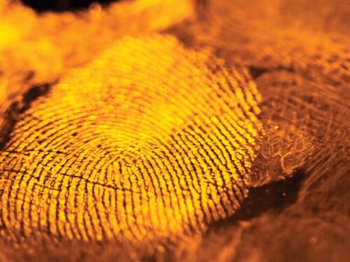 Science & Law_pnas cover - 16 9 ratio.jpg