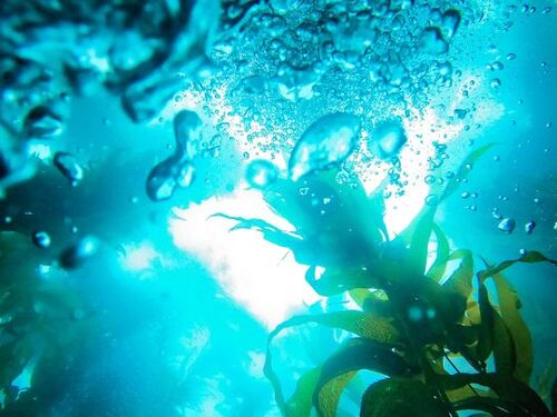 Card Regulatory and Climate Workshop, Tórshavn, Faroe Islands.jpg | https://nasemoceprodcomm-nationalacademies.cec.ocp.oraclecloud.com/content/published/api/v1.1/assets/CONT4214C10305504D7AB2F6F10F87054162/native?cb=_cache_daba&format=webp&channelTok...