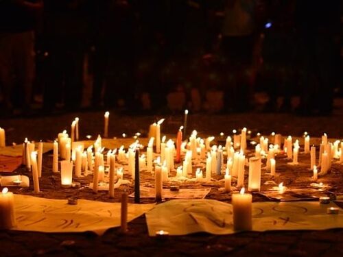 Turkish academics.jpg