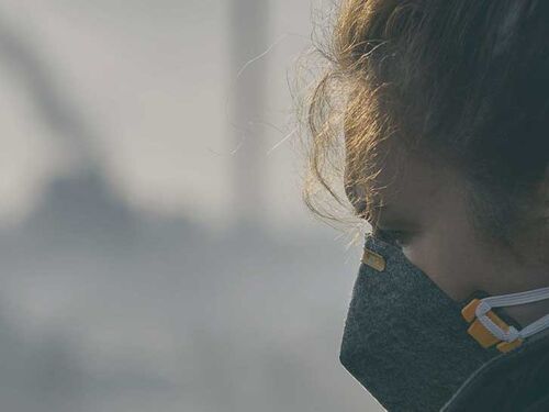 Based on Science Banner