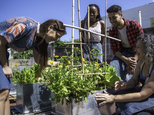Group of smiling young people learning about urban gardening in Buenos Aires.