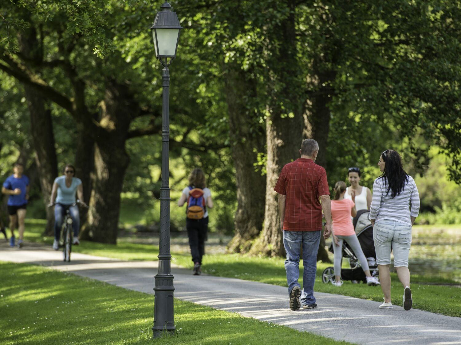 A busy day in the park