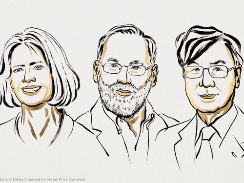 left to right: Mary E. Brunkow, Fred Ramsdell, Shimon Sakaguchi (Ill. Niklas Elmehed ©Nobel Prize Outreach)
