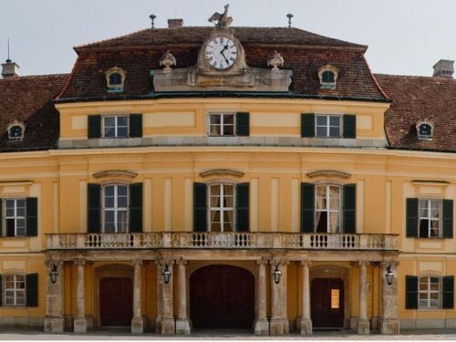 IIASA Director Announcement.jpg