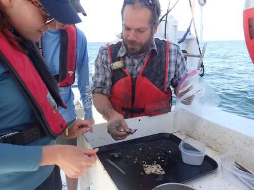 Paul Harnik, 2017 Early-Career Research Fellow on a boat.