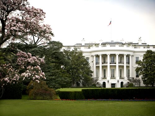 White House in spring.