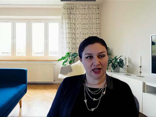 Meaghana Webinar 2.jpg