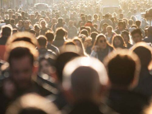 2022 Annual Report Slider (1074 × 470 px).jpg