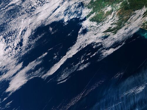 Based on Science Banner