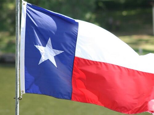 State of Texas flag.