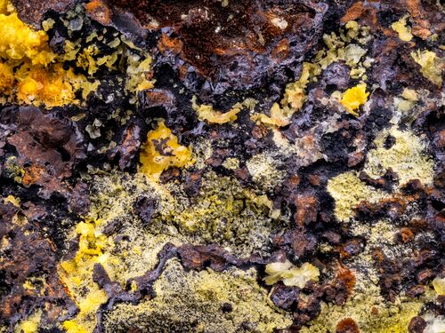 yellow green Sabugalite and deep yellow Phosphuranylite. Specimen from Arcu su Linnarbu, Capoterra, Sardinia, Italy. macro photography detail texture background. close-up mineral crystal unpolished.