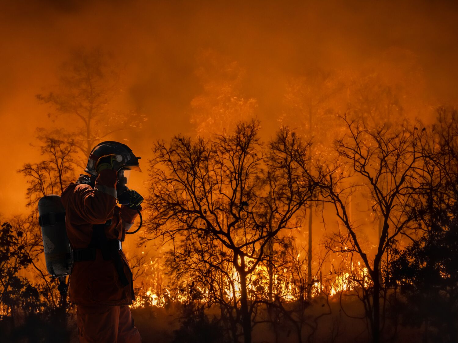 For the Webinar Series on Wildfire Preparedness, Response, and Recovery: Health System Resilience in the Era of Complex Wildfire Risk