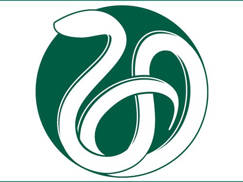 NAM fellows 2022 - 16 9 ratio.jpg