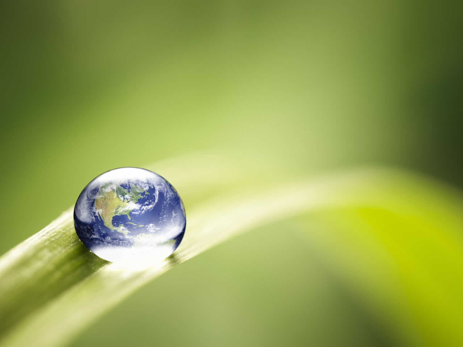 World in a drop - Nature Environment Green Water Earth