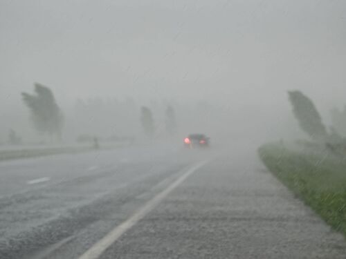 Based on Science Banner