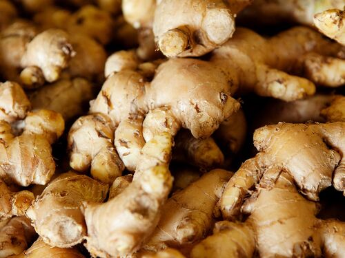 Based on Science Banner