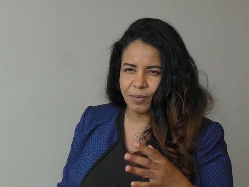 Shaza Elmahdi of the Sudanese American Physicians Association (SAPA) and Michael Payne of Physicians for Human Rights