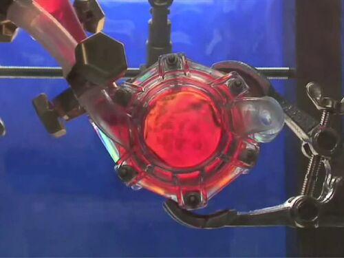 “The Holly” prototype