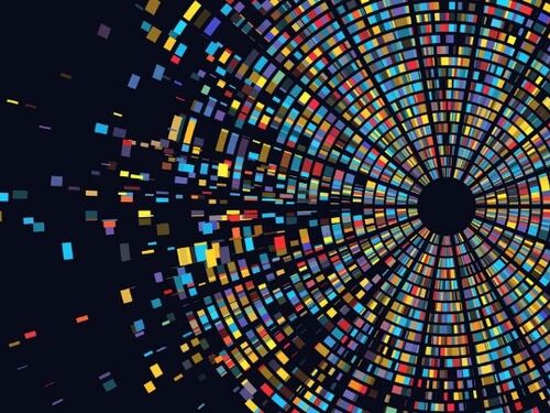 PGA Card Size (40).jpg