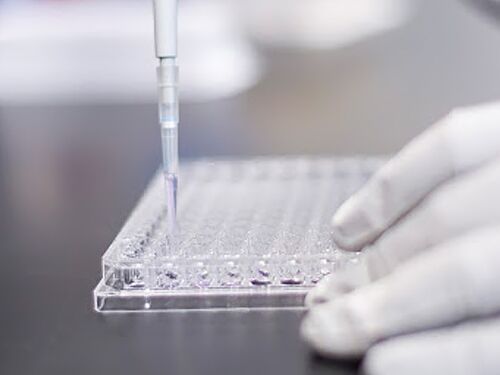 Gloved hand worked with test samples