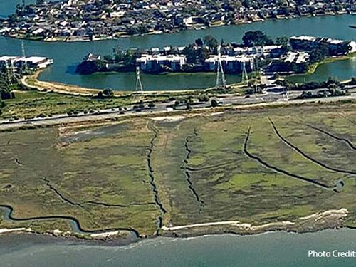 Banner Kelso_2024_SF-Bay-marsh-protecting-development-from-airplane-window.jpg