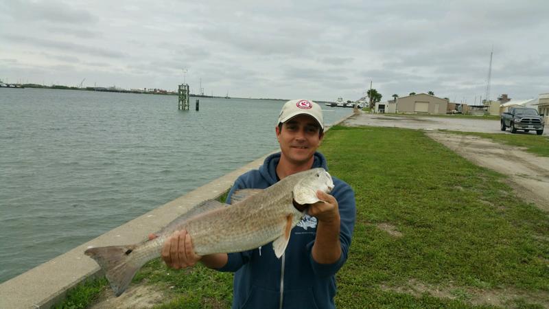 Brad Erisman