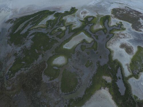 aerial view of marsh