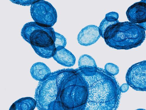 Based on Science Banner