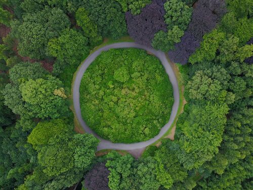 Roundabout in the middle of a forest in Belgium. Circular road surrounded by trees