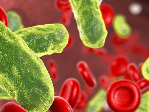 Based on Science Banner