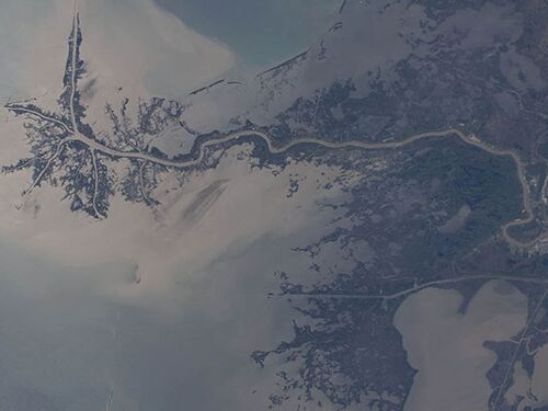Satellite image of the Mississippi delta