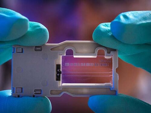 Issues fall 2024 - 16 9 ratio.jpg