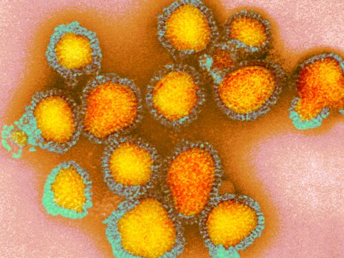 Based on Science Banner