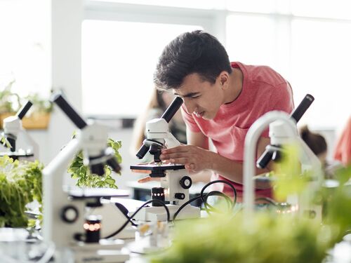 Student Looking Down Microscope