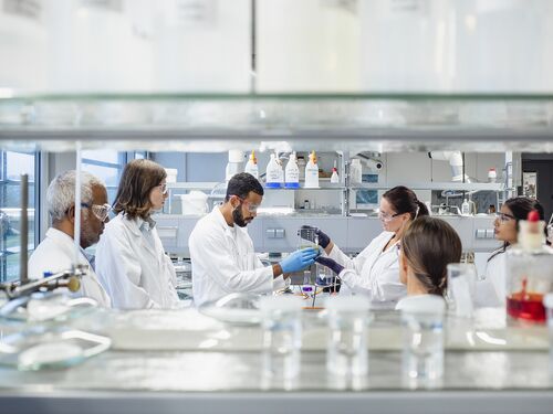 Scientists working in a laboratory.