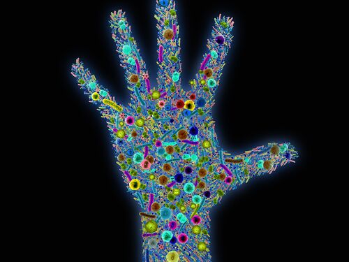 Based on Science Banner. Skin microbiota, conceptual illustration - stock illustration. Various bacteria and pathogens on a human hand, the microbiota of the skin, 3d illustration.