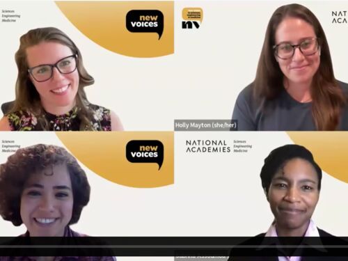 Screenshot of webinar.