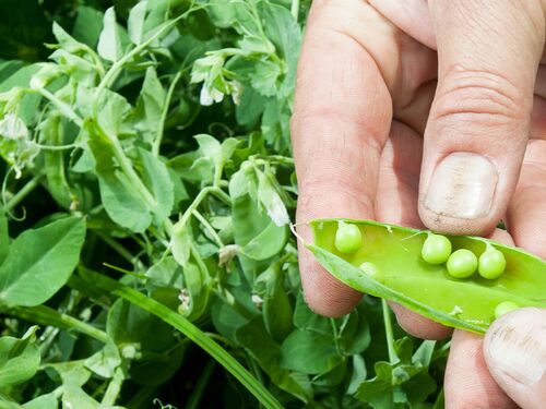 Based on Science Banner