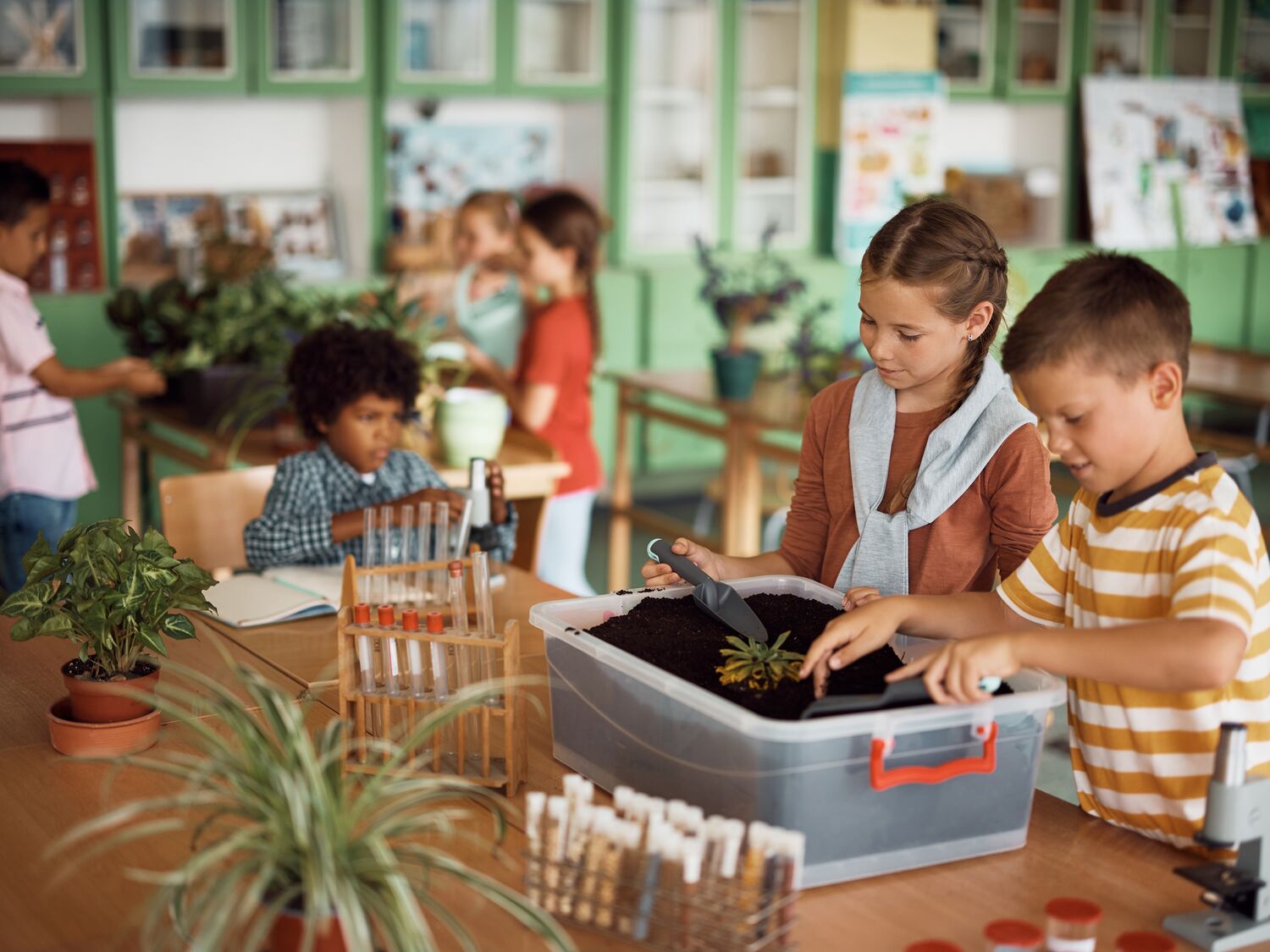 Students in an elementary school learning about plants